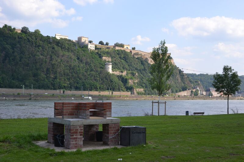 Grillwiese am Rheinufer